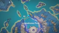 Player location for Reminiscence of Seirai part 4 (Image via Genshin Impact)